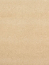 Scalamandre Glamour Velvet Stagecoach Fabric