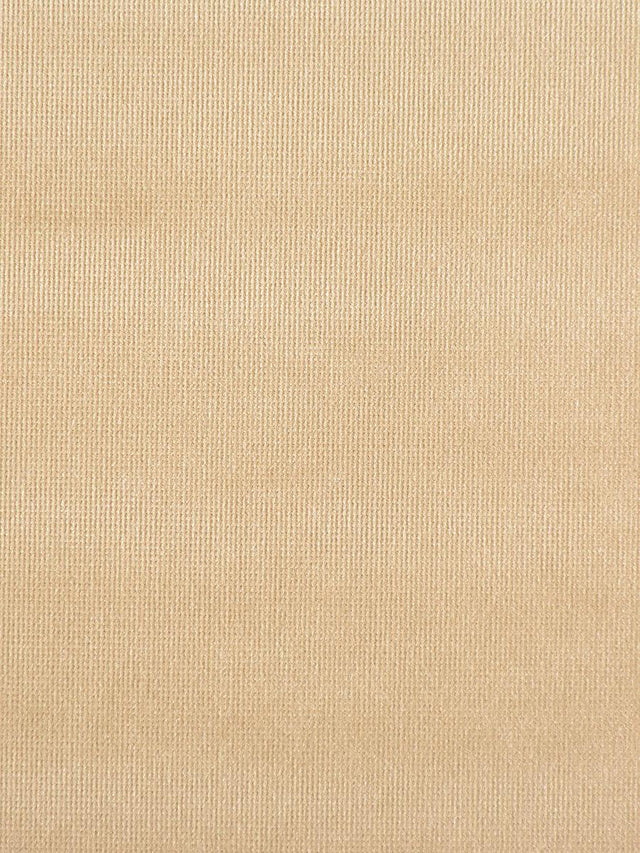 Scalamandre Glamour Velvet Stagecoach Fabric
