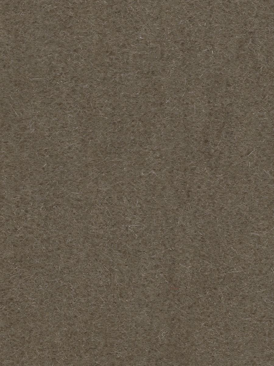 Scalamandre Majestic Mohair Mushroom Fabric