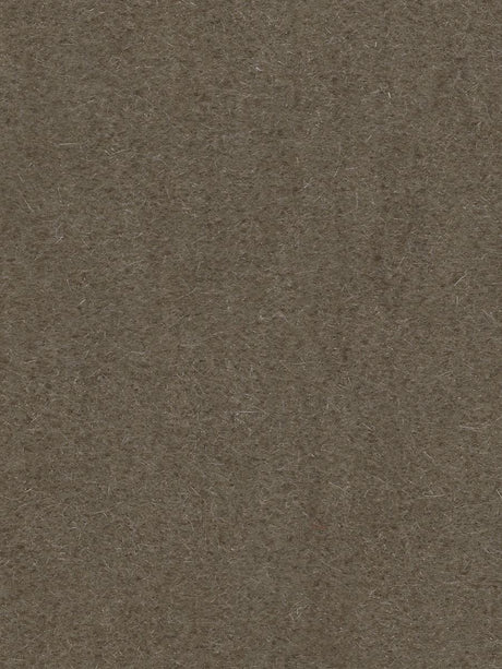 Scalamandre Majestic Mohair Mushroom Fabric