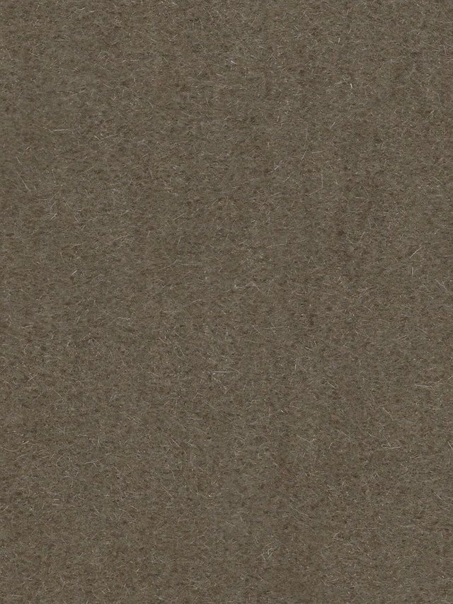 Scalamandre Majestic Mohair Mushroom Fabric