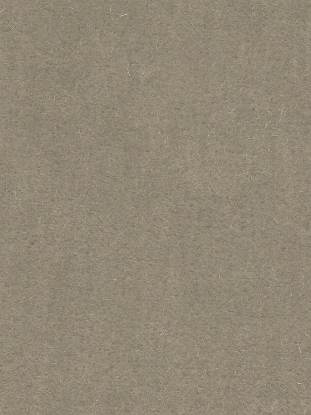 Scalamandre Majestic Mohair Cement Fabric