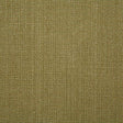 Pindler WESTLEY ALOE Fabric