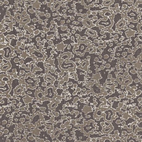 Schumacher Rain Dance Charcoal Fabric