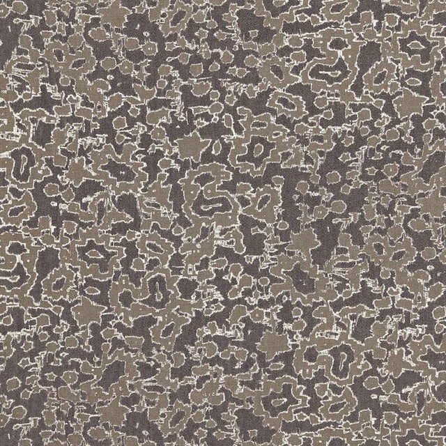 Schumacher Rain Dance Charcoal Fabric