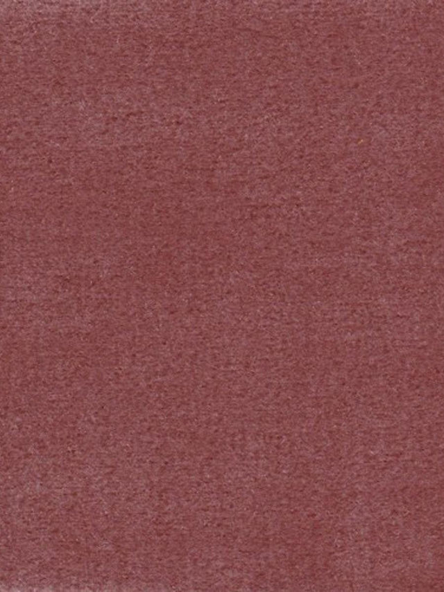 Scalamandre Majestic Mohair Petal Fabric