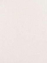 Scalamandre Rio Dew Fabric