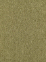 Scalamandre Rio Moss Fabric