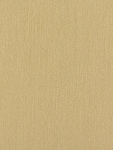 Scalamandre Rio Cactus Pear Fabric