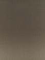 Scalamandre Rio Olive Brown Fabric