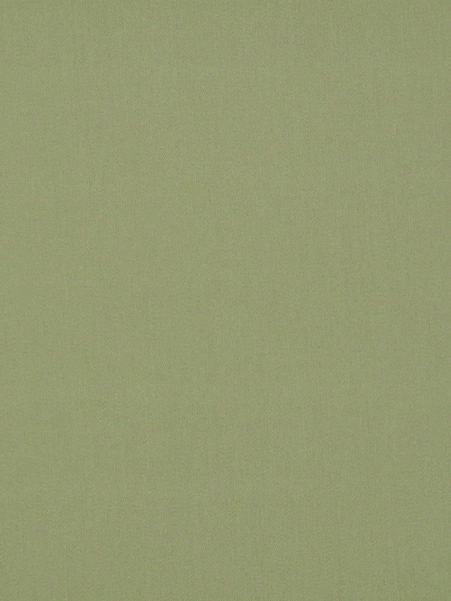 Scalamandre Rio Willow Fabric