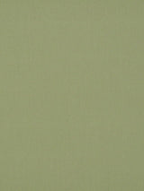 Scalamandre Rio Willow Fabric