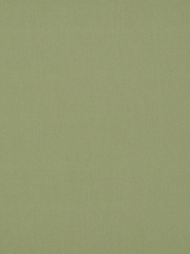 Scalamandre Rio Willow Fabric