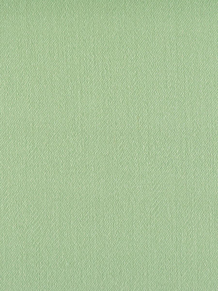 Scalamandre Rio Wintergreen Fabric