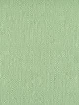 Scalamandre Rio Wintergreen Fabric