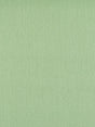 Scalamandre Rio Wintergreen Fabric