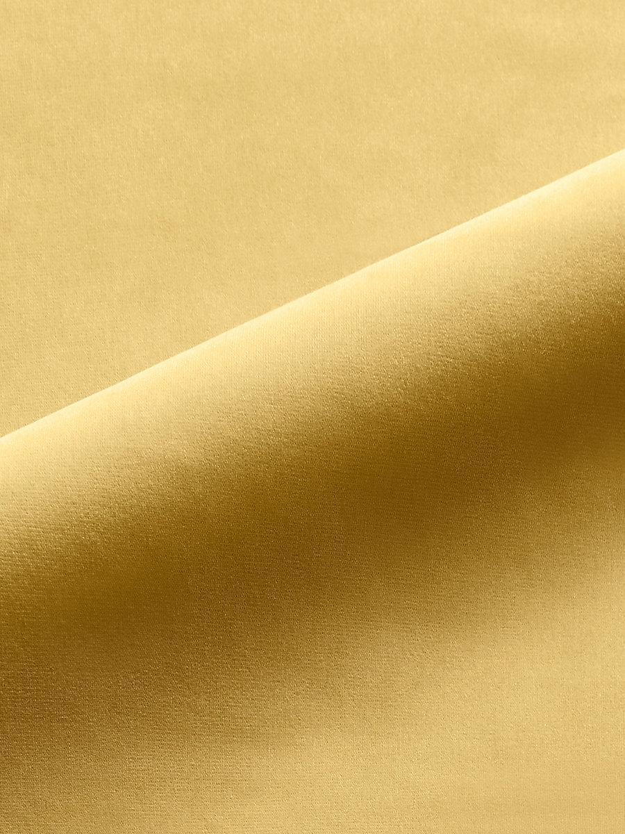 Scalamandre Linley Chamois Fabric