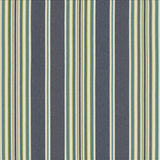 Kasmir Bandwidth Denim Fabric