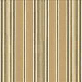 Kasmir Bandwidth Sand Fabric