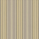 Kasmir Bandwidth Smoke Fabric