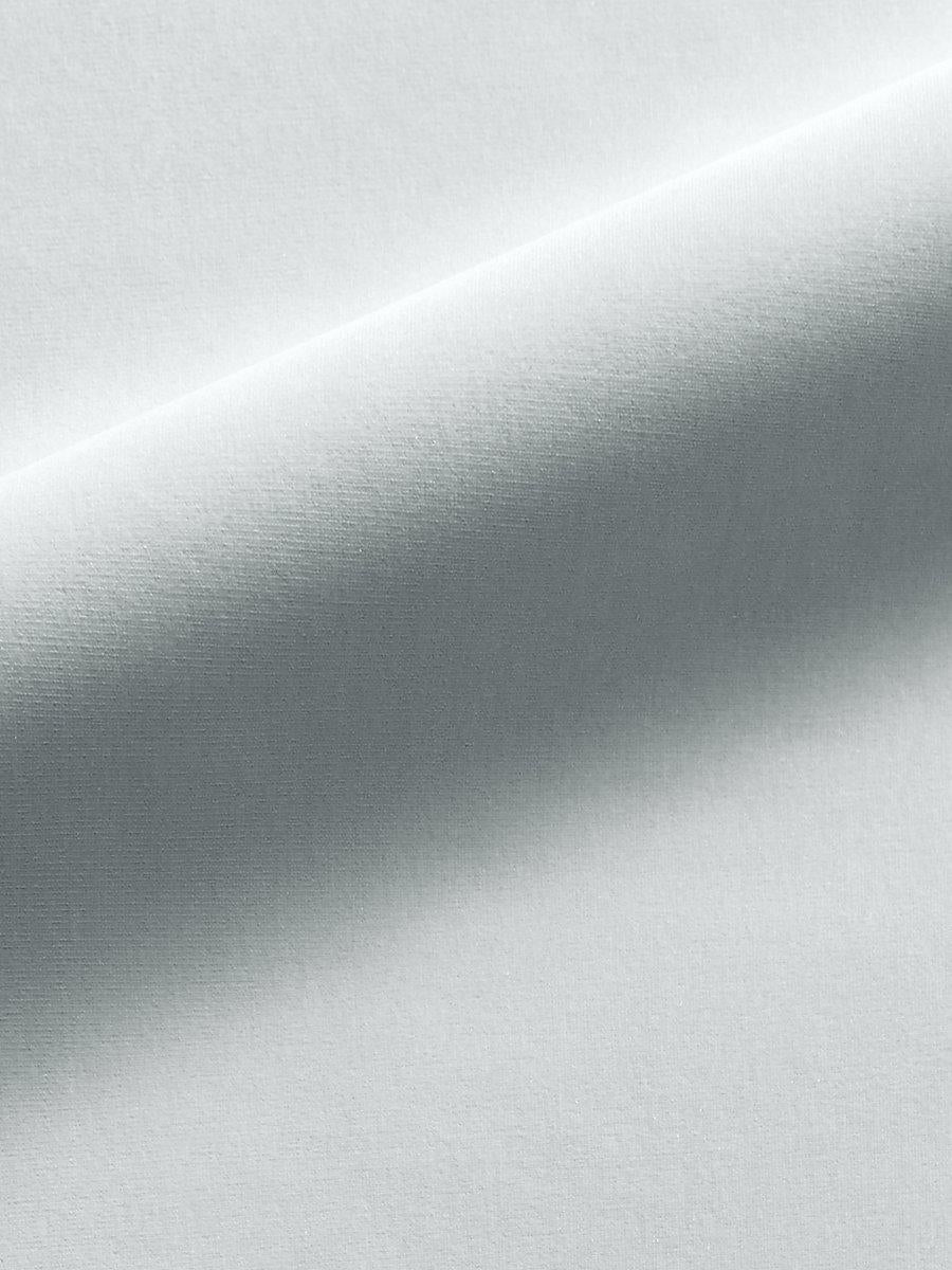 Scalamandre Linley Platinum Fabric