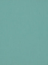 Scalamandre Rio Viridian Fabric