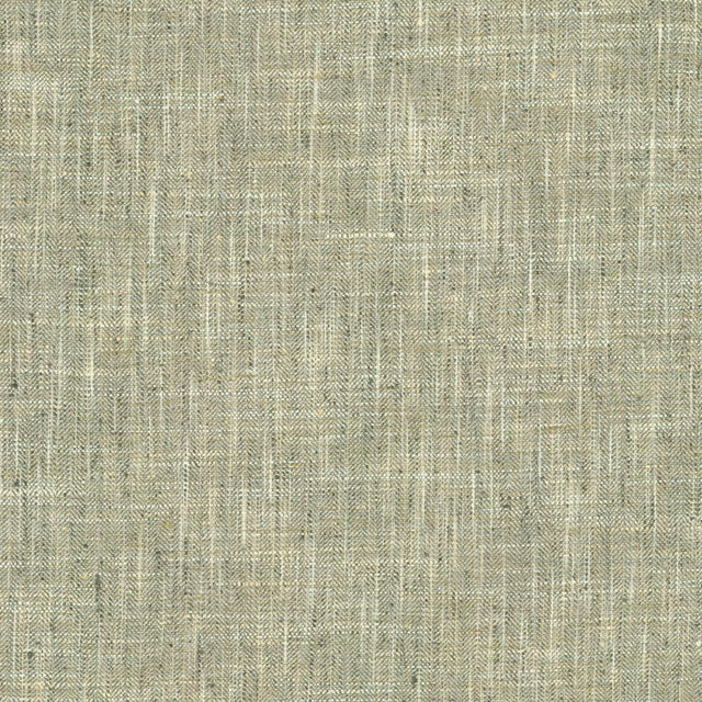 Kasmir Best In Show Slate Fabric