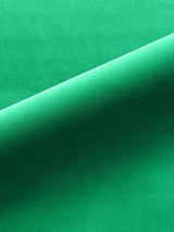 Scalamandre Linley Parrot Green Fabric