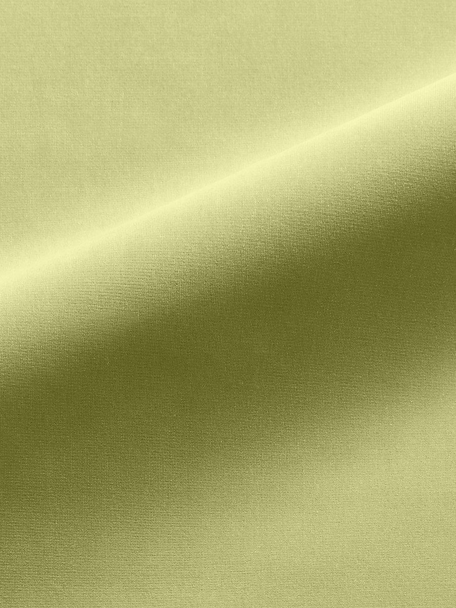 Scalamandre Linley Celery Fabric