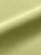 Scalamandre Linley Celery Fabric