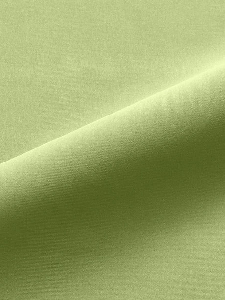 Scalamandre Linley Spring Green Fabric