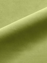 Scalamandre Linley Light Green Fabric