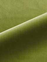 Scalamandre Linley Leaf Green Fabric