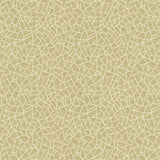 Kasmir Cracked Glass Beige Fabric