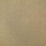 Pindler DOUPPIONI SAND Fabric