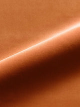 Scalamandre Linley Apricot Fabric