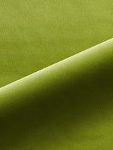 Scalamandre Linley Sandalwood Fabric