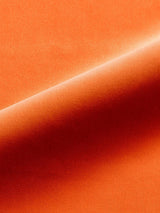 Scalamandre Linley Orange Blossom Fabric