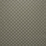 Kasmir Gaineswood Black Pearl Fabric