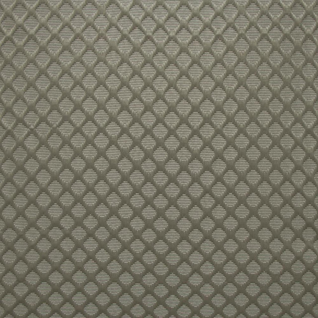 Kasmir Gaineswood Black Pearl Fabric