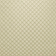 Kasmir Gaineswood Silver Fabric