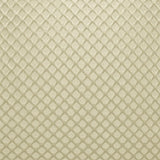 Kasmir Gaineswood Silver Fabric
