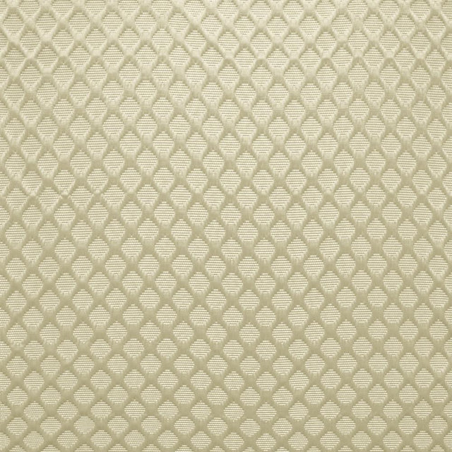 Kasmir Gaineswood Silver Fabric