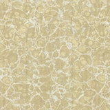 Kasmir Imperial Beach Pearl Fabric