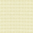 Kasmir Jangu Linen Fabric
