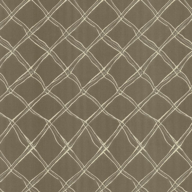 Kasmir Plexus Stone Fabric