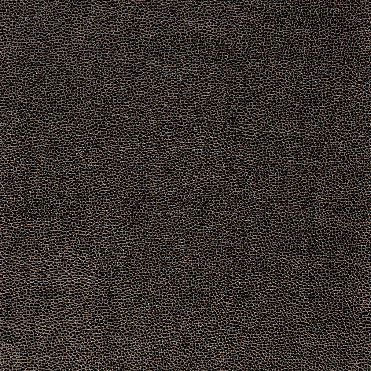 Kravet DESIGN SPARTA 811 Upholstery Fabric