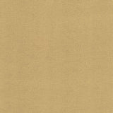 Kasmir Ponte Butter Fabric