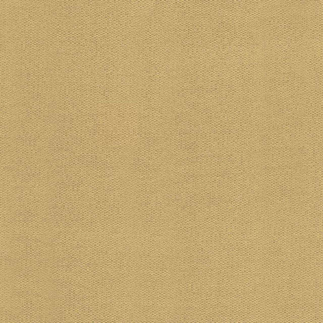 Kasmir Ponte Butter Fabric