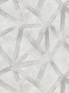 Scalamandre Interstellar Frost Wallpaper